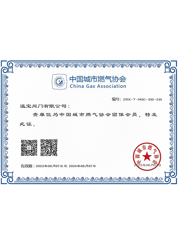 Сертификат Китайской городской газовой ассоциации