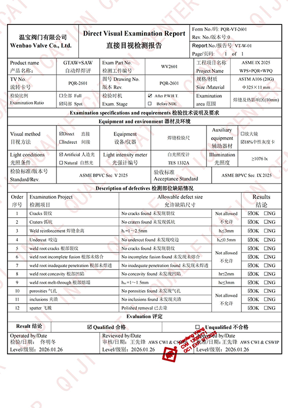 直接目视检测报告