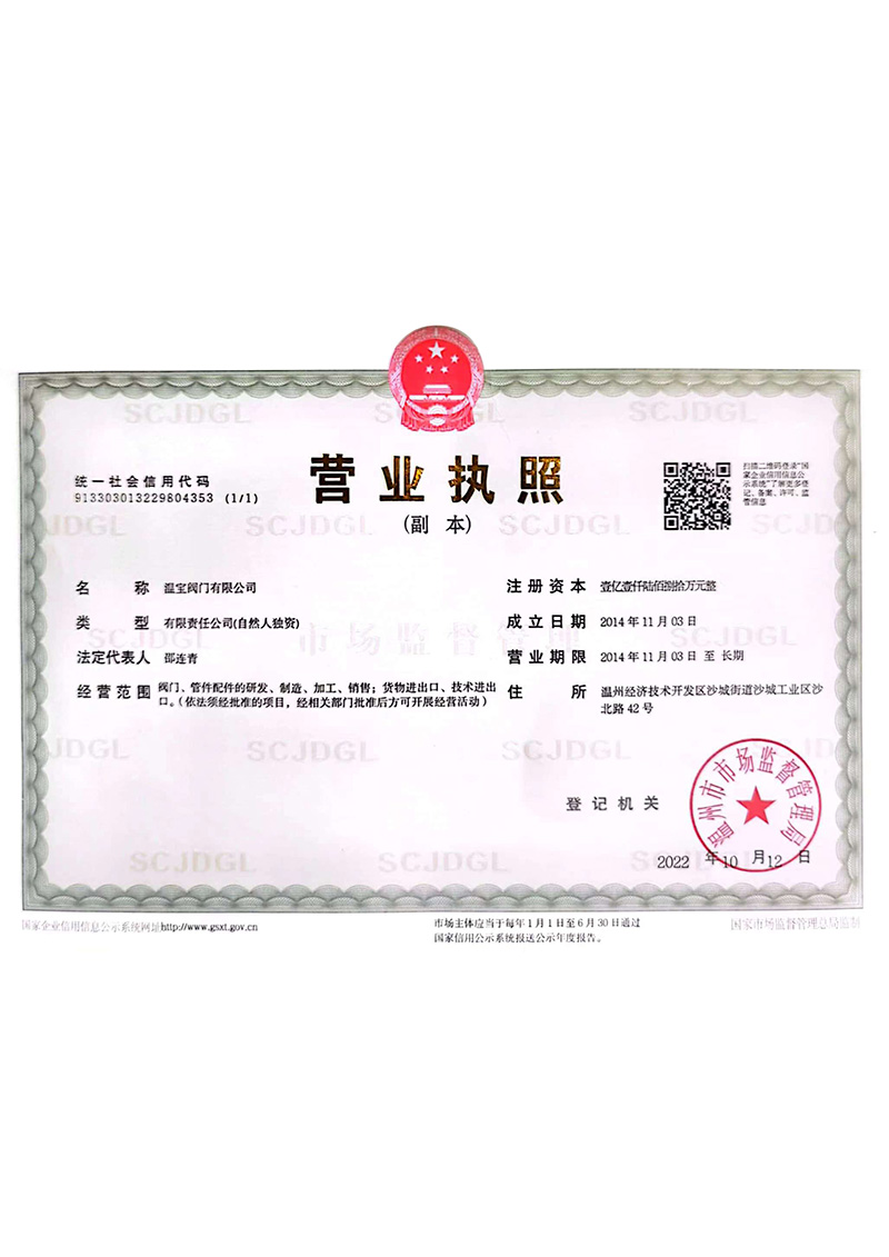 Business License